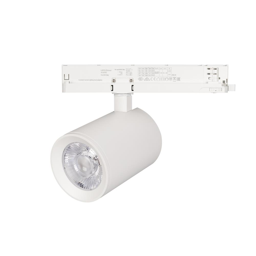 Светильник Arlight LGD-NIKA-4TR-R100-30W Warm3000 (WH, 24 deg, 230V)