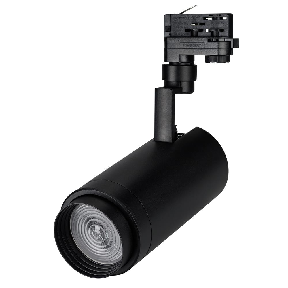 Светильник Arlight LGD-ZEUS-TRUECOLOR-4TR-R100-30W Day4000 CRI98 (BK, 20-60 deg, 230V)