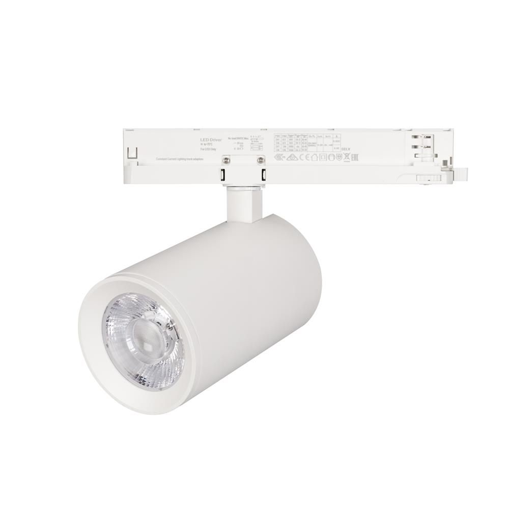 Светильник Arlight LGD-NIKA-4TR-R100-40W Day4000 (WH, 24 deg, 230V)