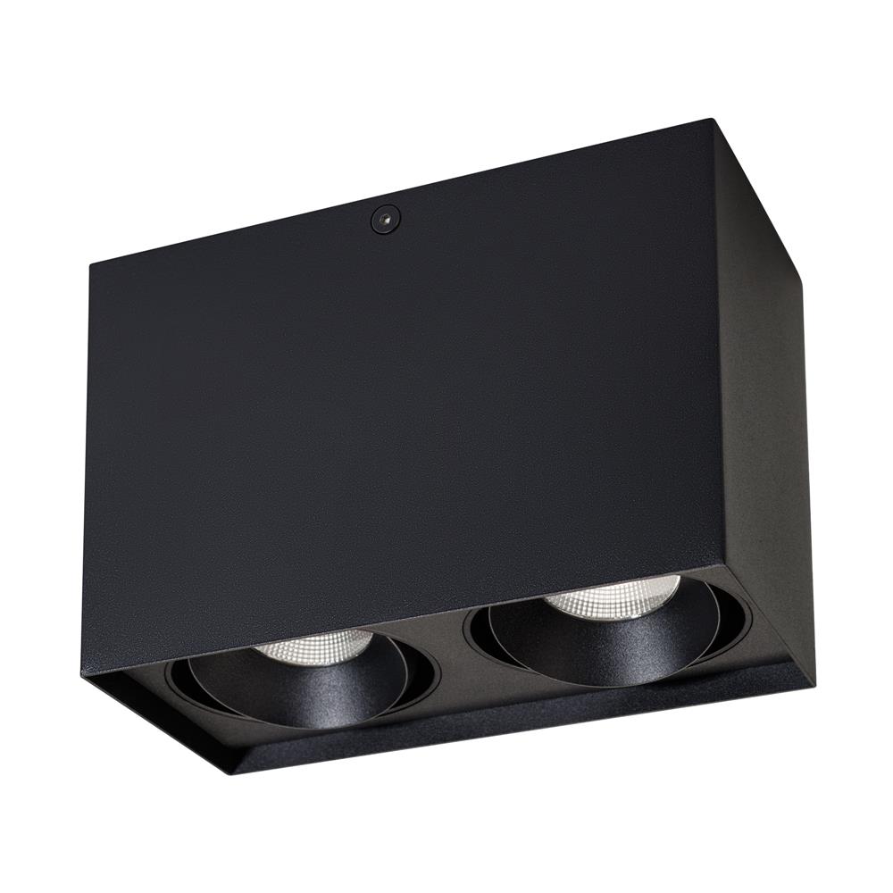 Светильник Arlight SP-CUBUS-S100x200BK-2x11W Day White 40deg